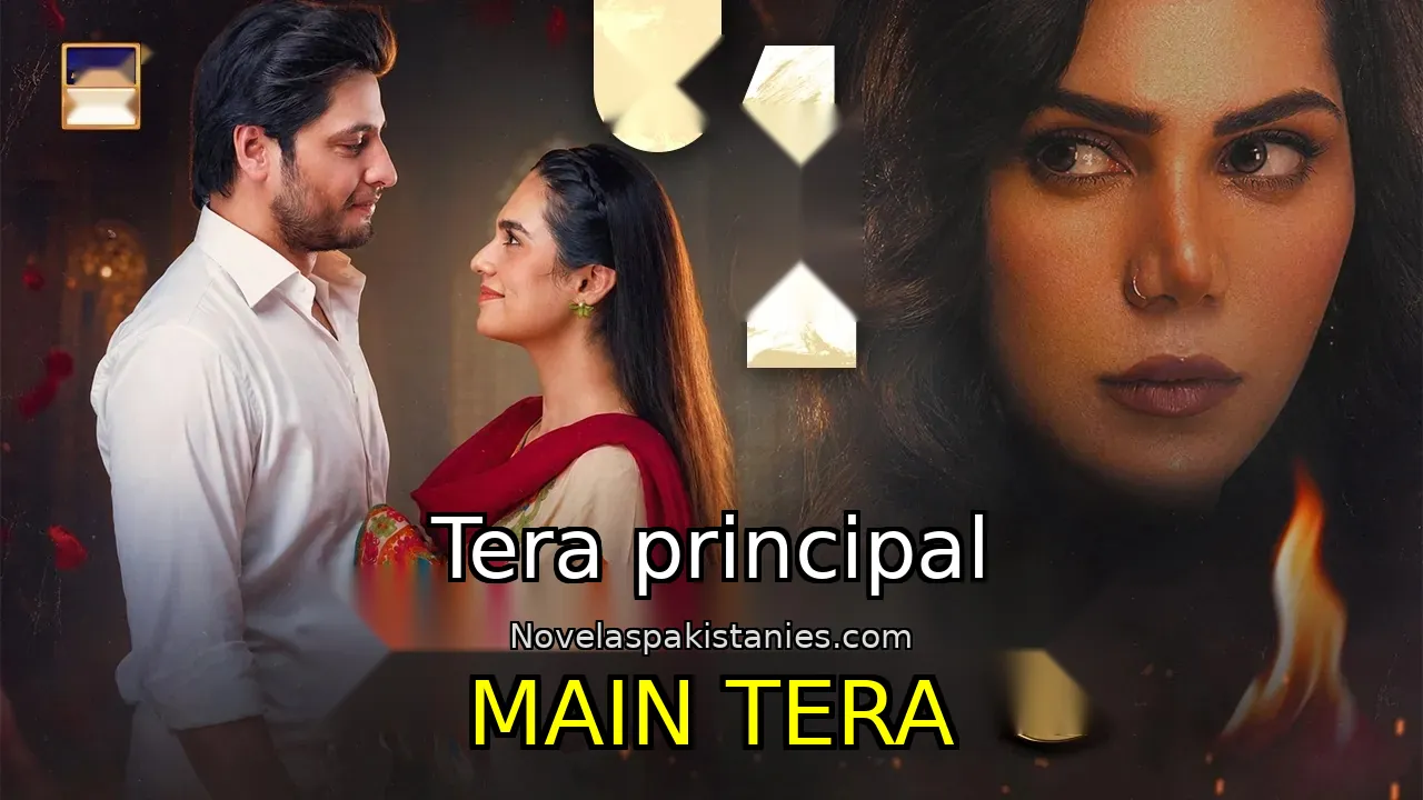 Serie Pakistaní Main Tera - Tera principal